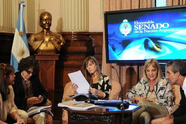 Para el AFSCA, la Bicameral ratificó a Claudio Alberto Schifer (FpV) como director, en representación de la primera minoría política. En tanto, por la UCR, segunda minoría parlamentaria, continuará Marcelo Stubrin. En RTA fueron ratificados los exdiputados María Lenz (FPV) y Gustavo Cusinato (UCR).