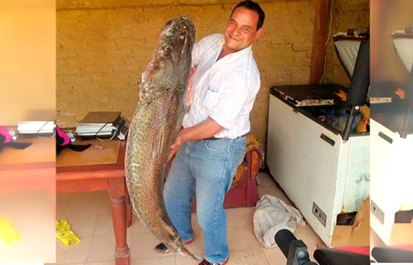 La talla habitual de esa especie es de entre 15 y 20 kilos.