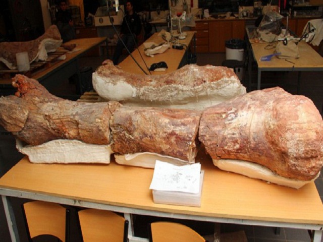 dinosa