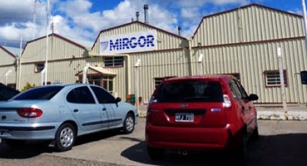 mirgor