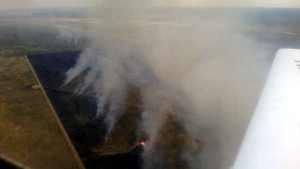 incendio forestal