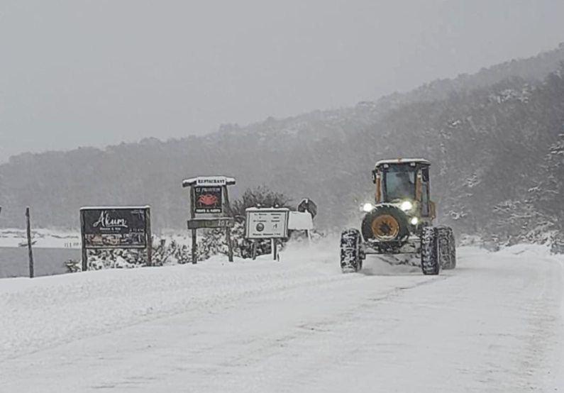 almanza nieve