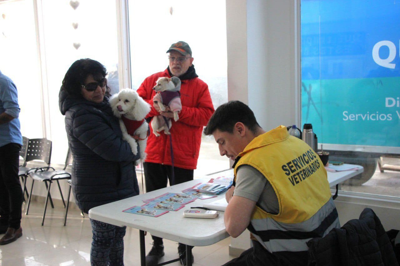 jornada de castraciÓn en rÍo grande