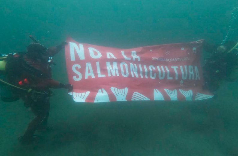 salmoneras submarino