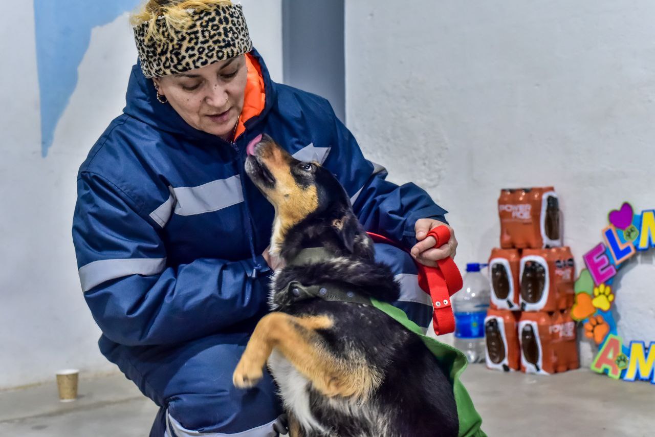 zoonosis ushuaia