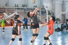 voley