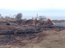 Ígneo en estancia la fueguina