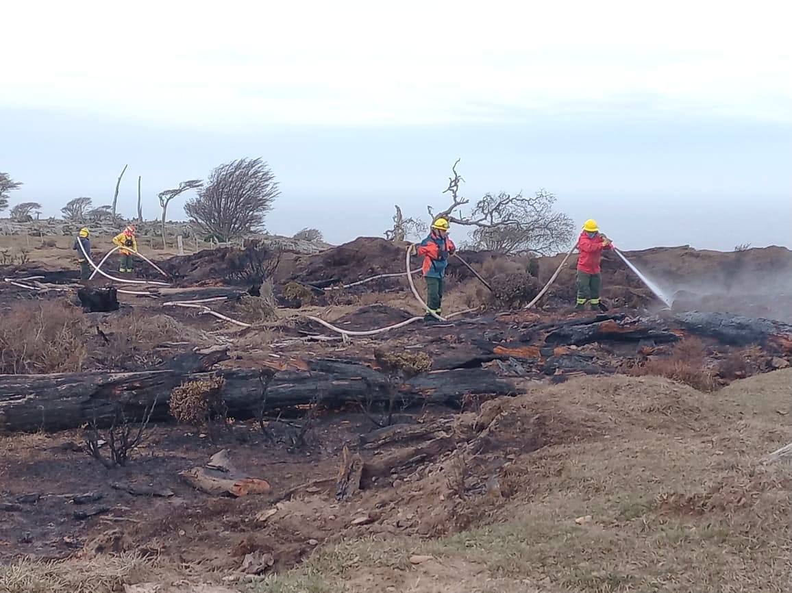 Extinguieron el incendio de estancia «La Fueguina»