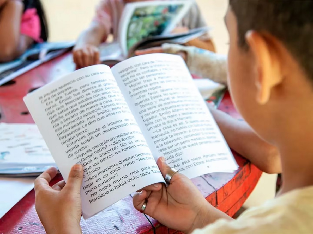 Indagan el nivel en lenguaje de niños y niñas de 29 escuelas fueguinas