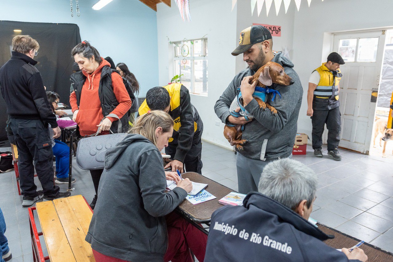 Más de 300 vacunaciones y chipeos en la última jornada