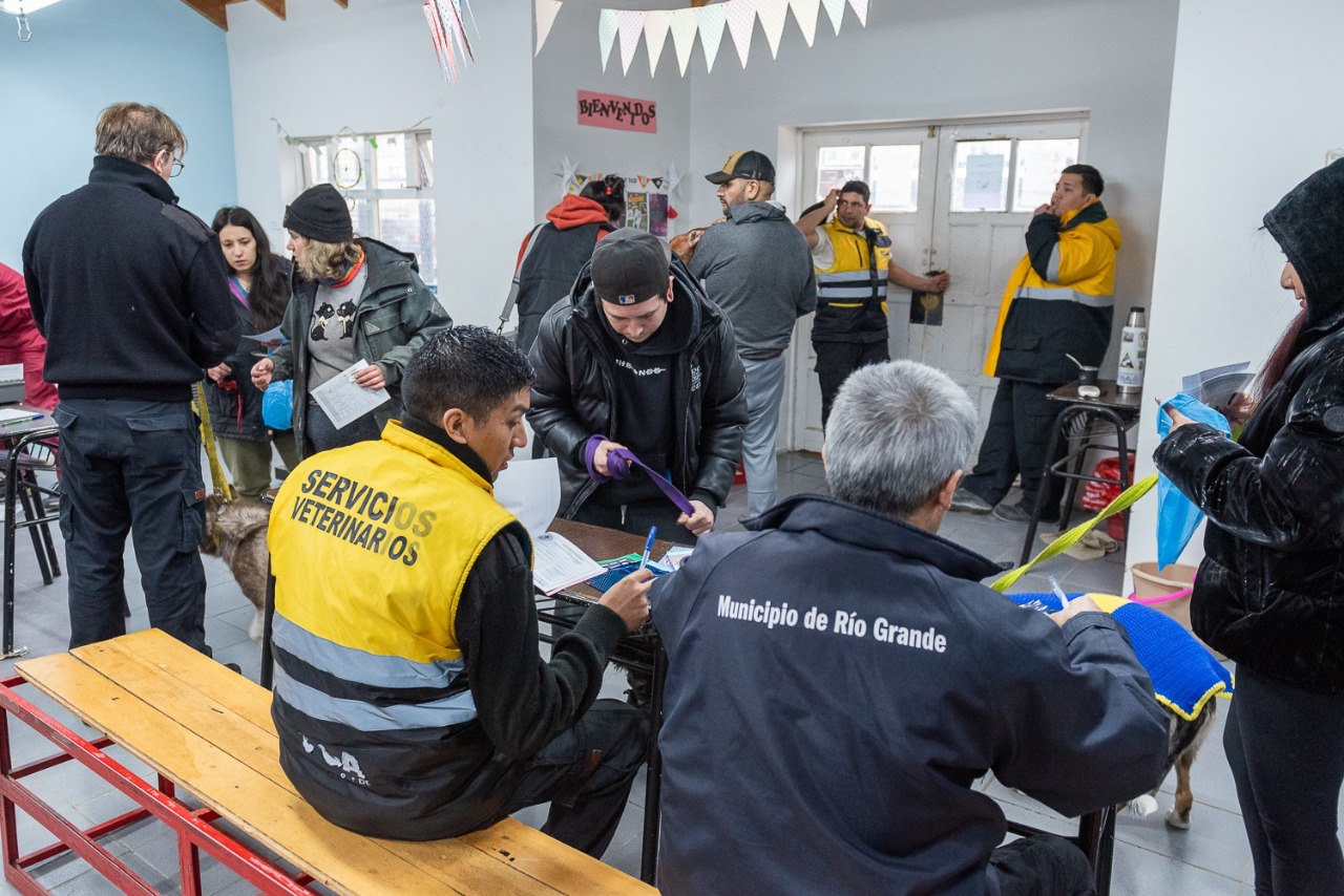 vacunacion antirrabica y chipeo