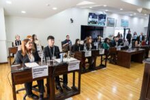 parlamento juvenil del mercosur