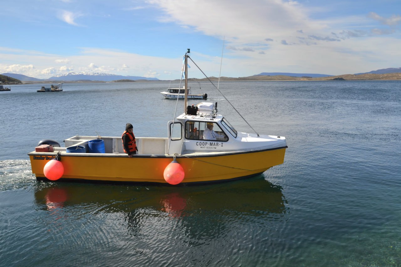 La cooperativa «Marítima Pesquera Tierra del Fuego» comenzó su actividad