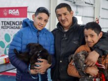 adopciÓn responsable de mascotas