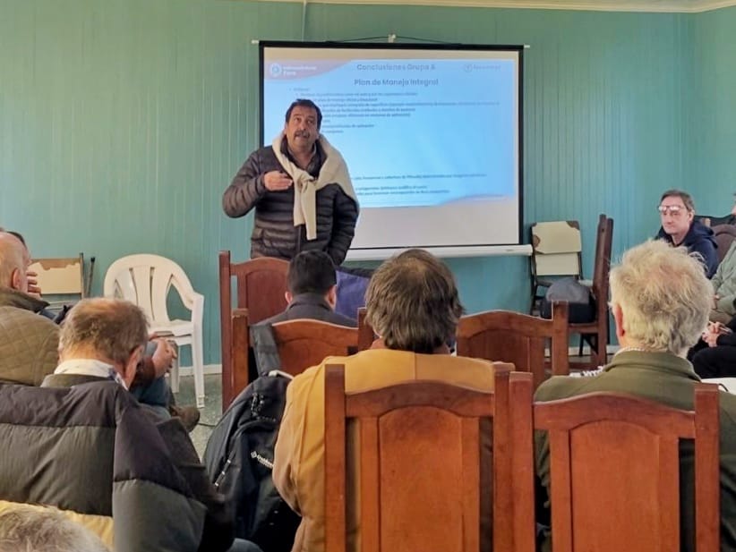 Encuentro por la invasión de la planta Pilosella en campos productivos