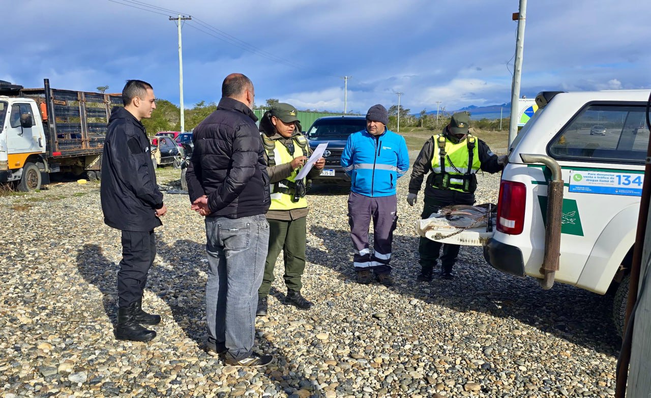 pesca deportiva se secuestraron truchas y equipos en operativo de control