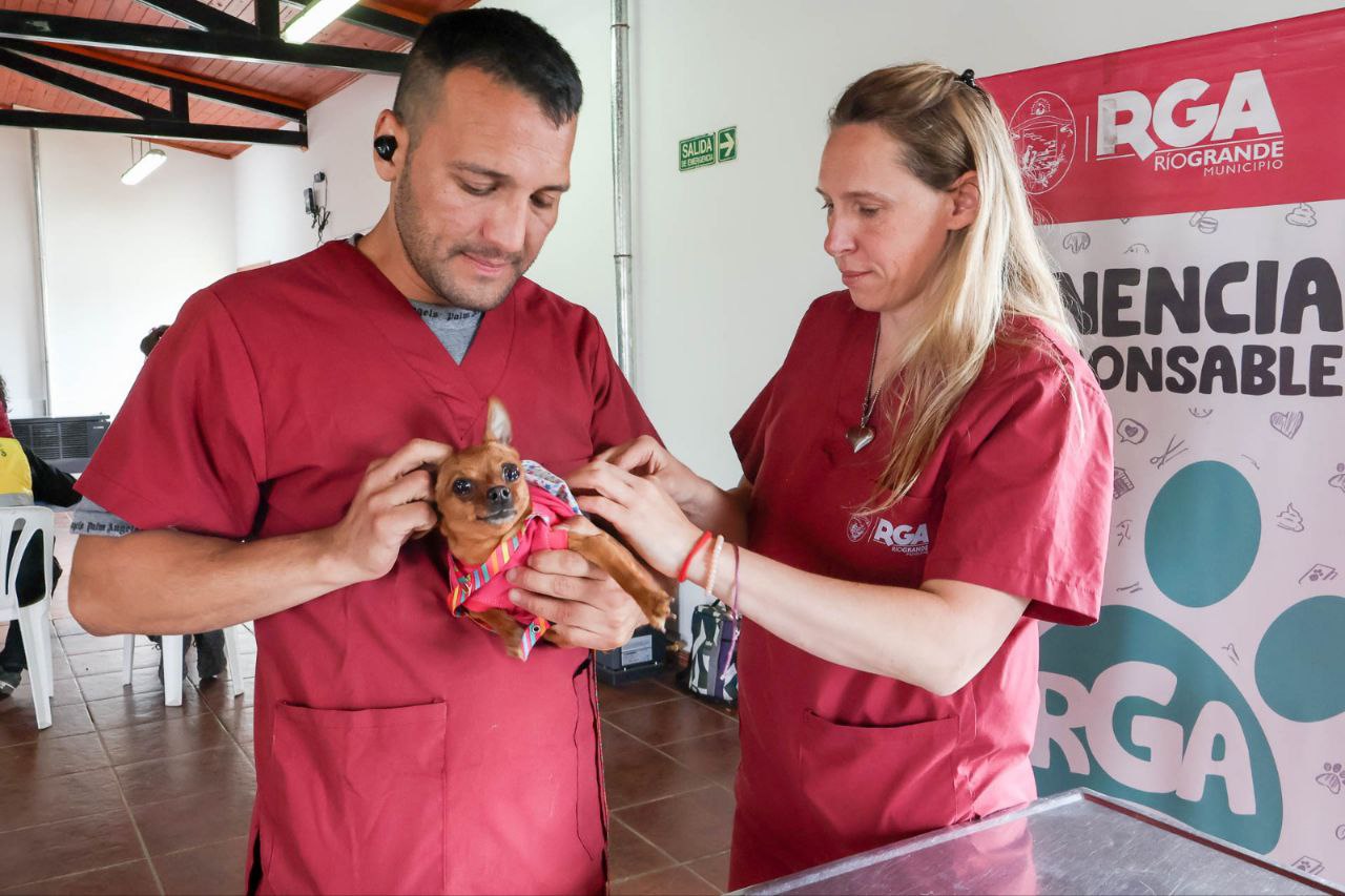 Se vivió otra jornada de adopción y cuidado de mascotas