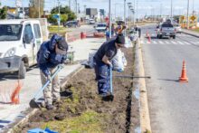 trabajos de renovaciÓn urbana en los espacios pÚblicos de la ciudad