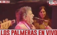 palmeras tv(2)