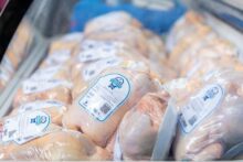 pollos rga alimentos