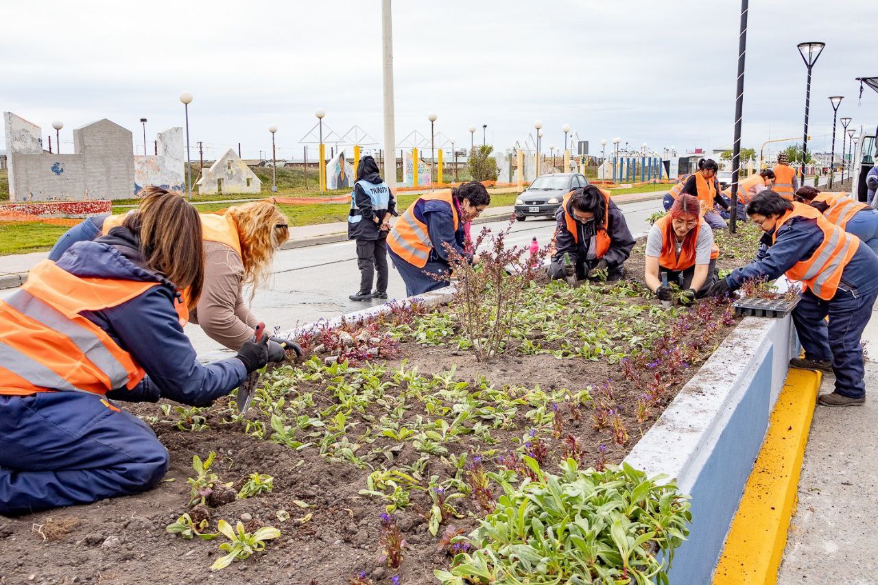 Siguen los trabajos de embellecimiento en la ciudad