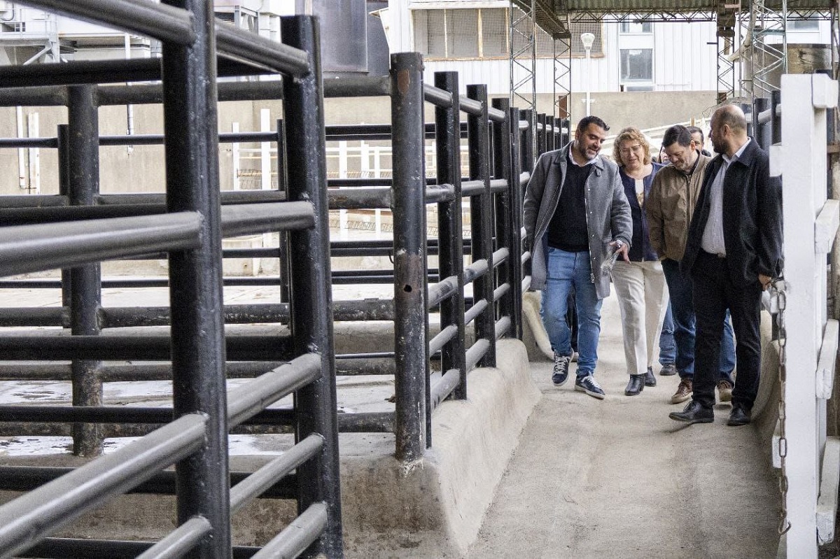 Avanza a buen ritmo la faena en la planta “Chiquitín” Pastoriza