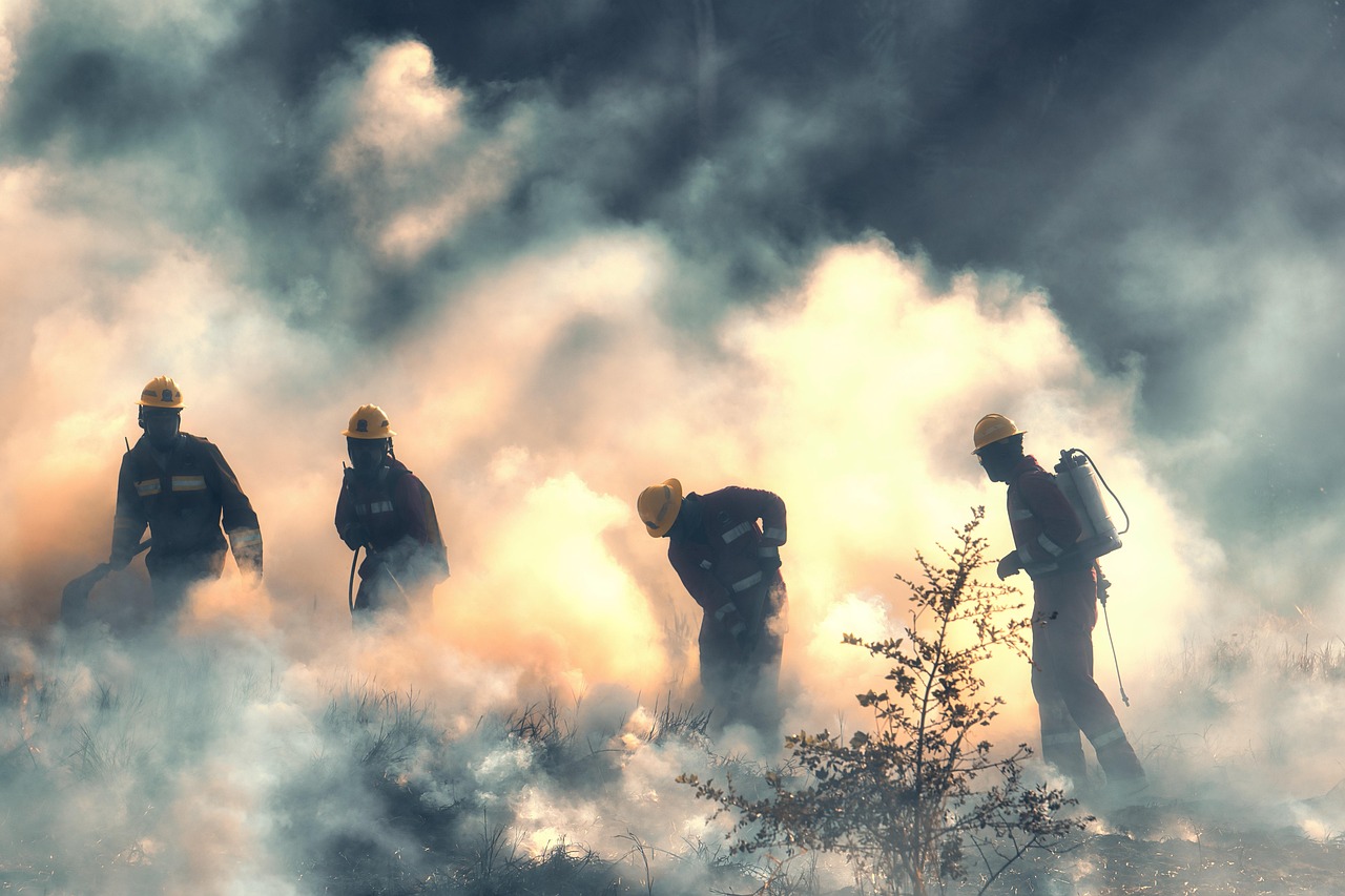 fuego incendio bomberos brigadistas