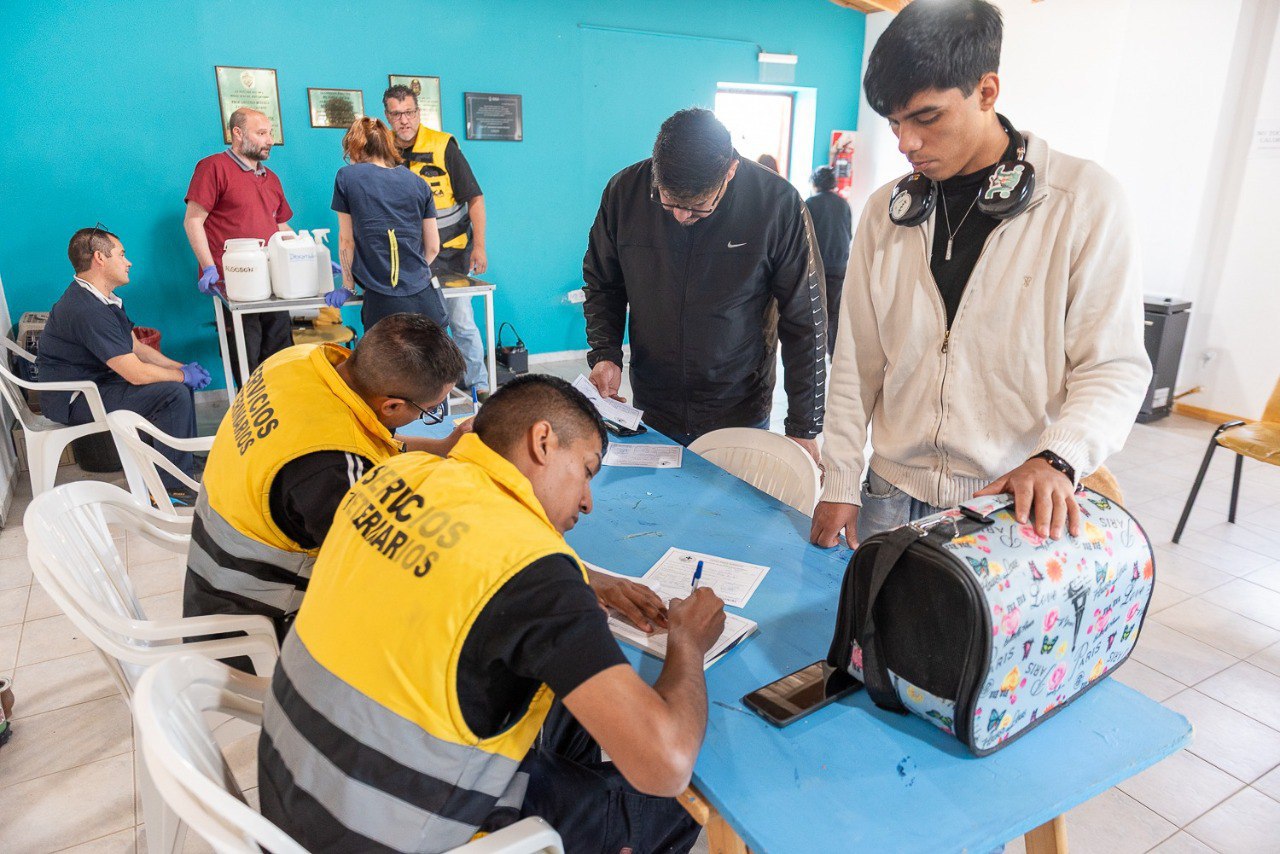 jornada de vacunaciÓn y chipeo para mascotas