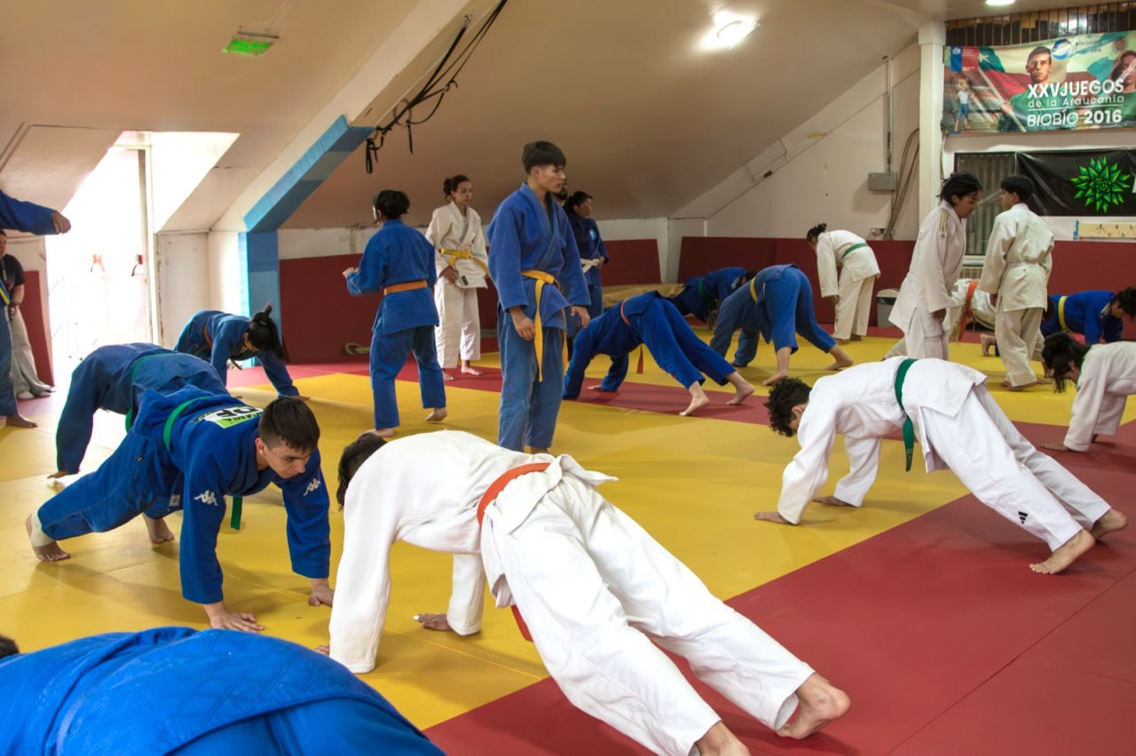 judo